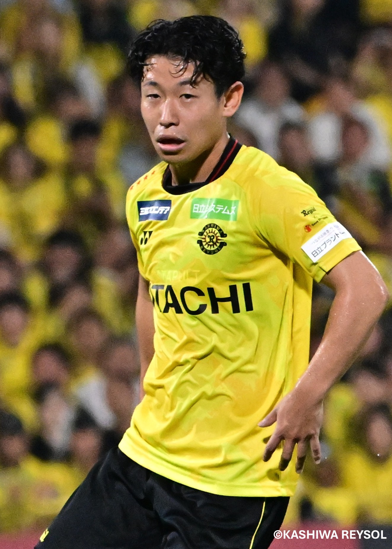 HATTRICK（ハットトリック）-選手の想いをファンへ届ける公式