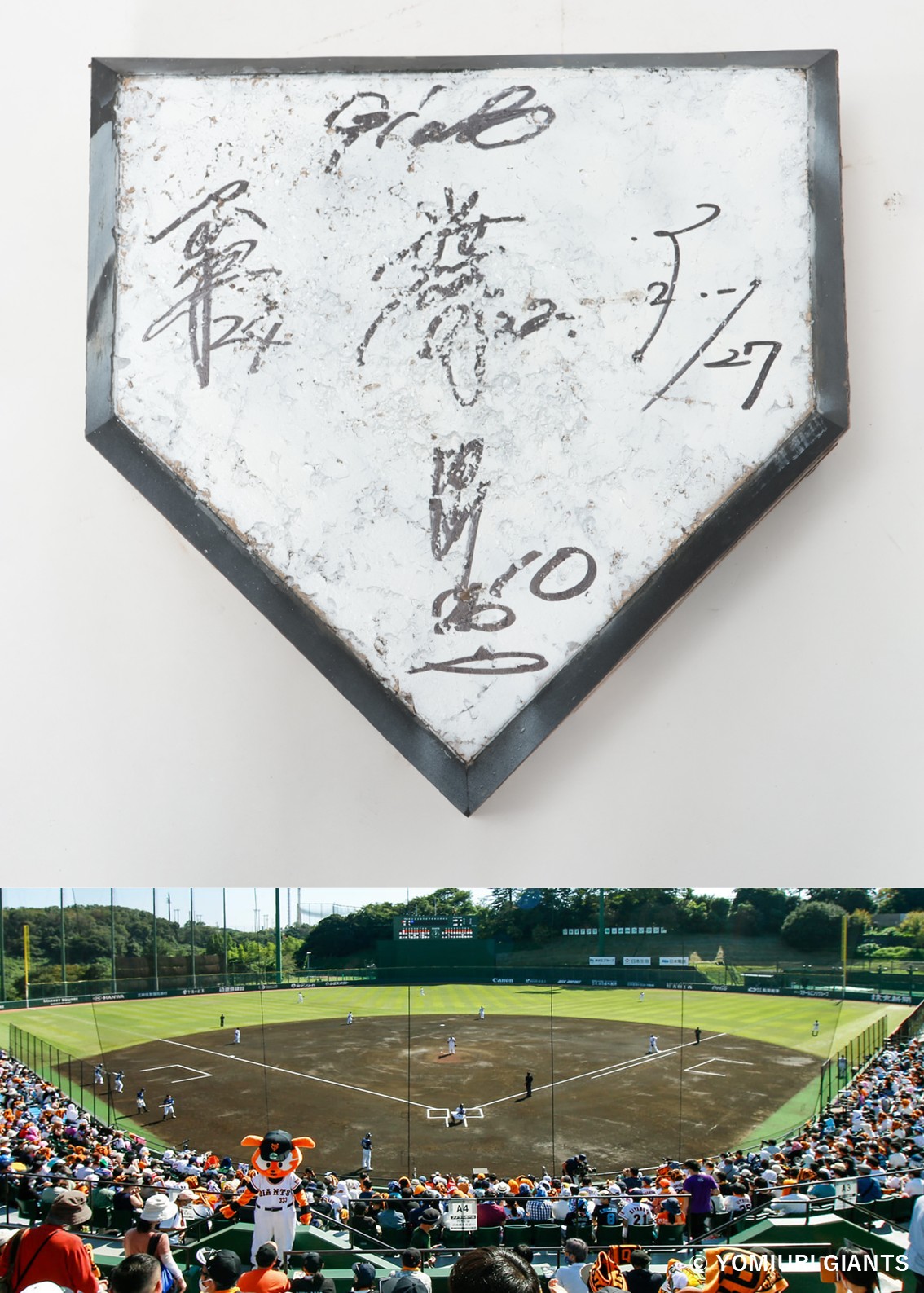 HATTRICK（ハットトリック）-挑戦者の想いをファンへ届ける公式