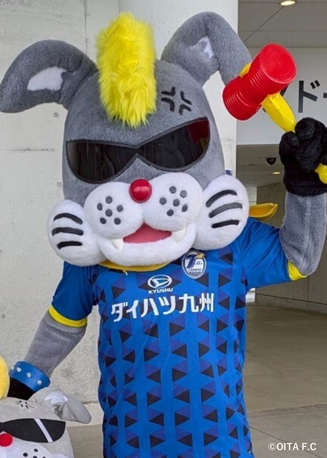 HATTRICK（ハットトリック）-選手の想いをファンへ届ける公式