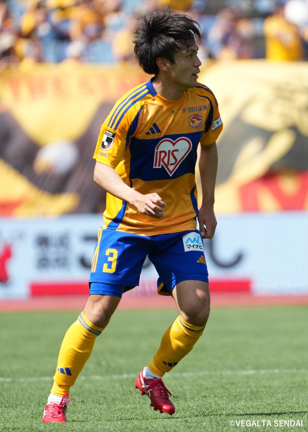 HATTRICK（ハットトリック）-選手の想いをファンへ届ける公式