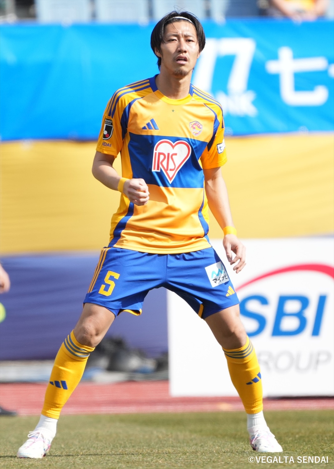 HATTRICK（ハットトリック）-選手の想いをファンへ届ける公式