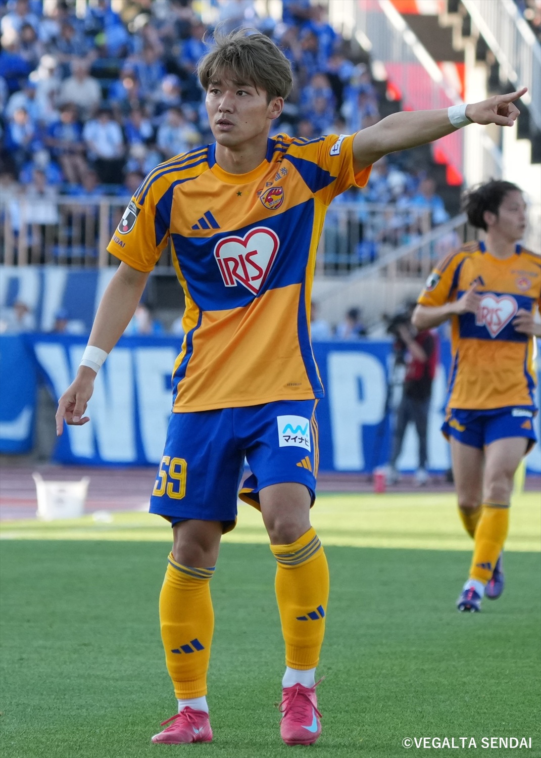 HATTRICK（ハットトリック）-選手の想いをファンへ届ける公式