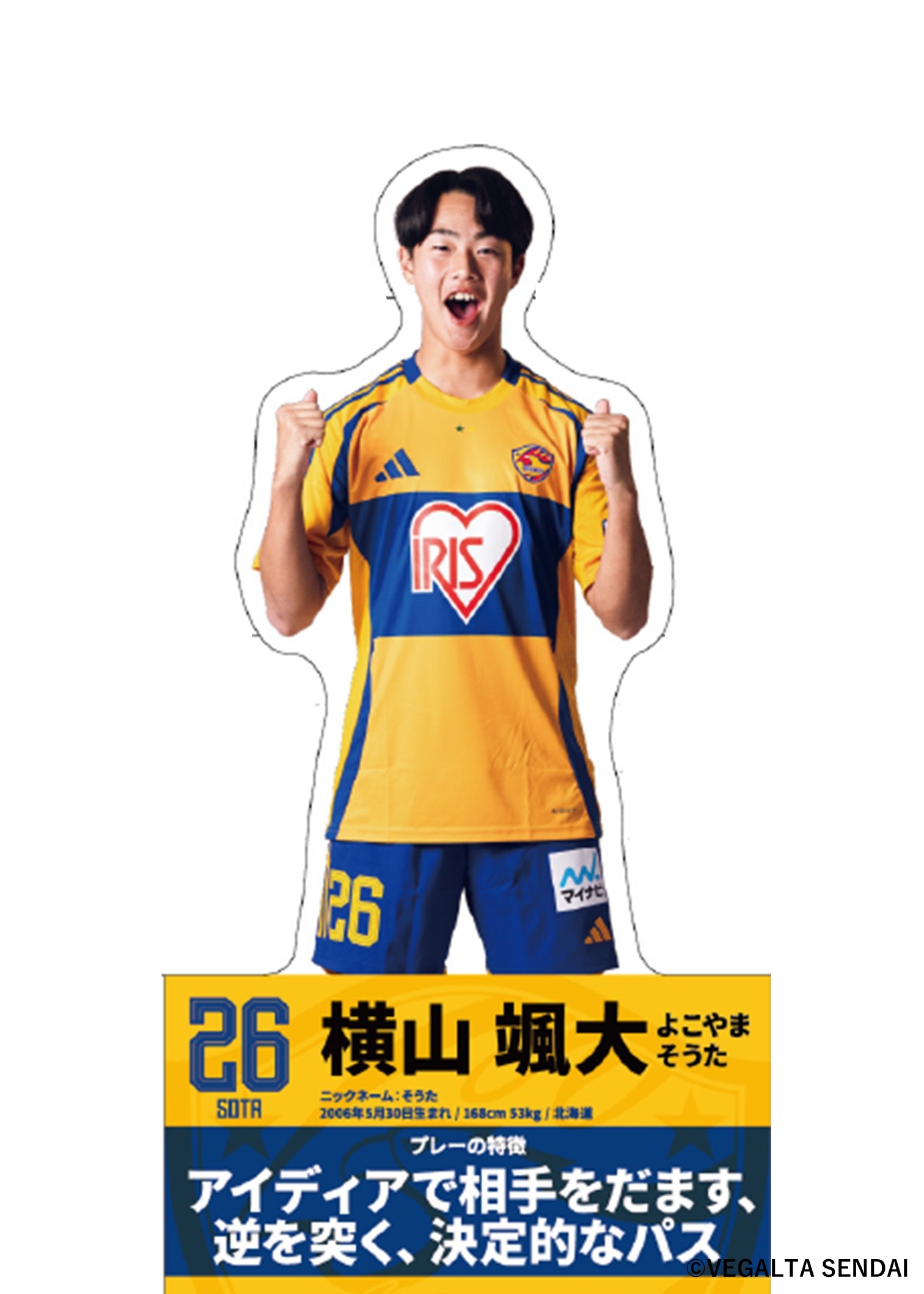 HATTRICK（ハットトリック）-挑戦者の想いをファンへ届ける公式