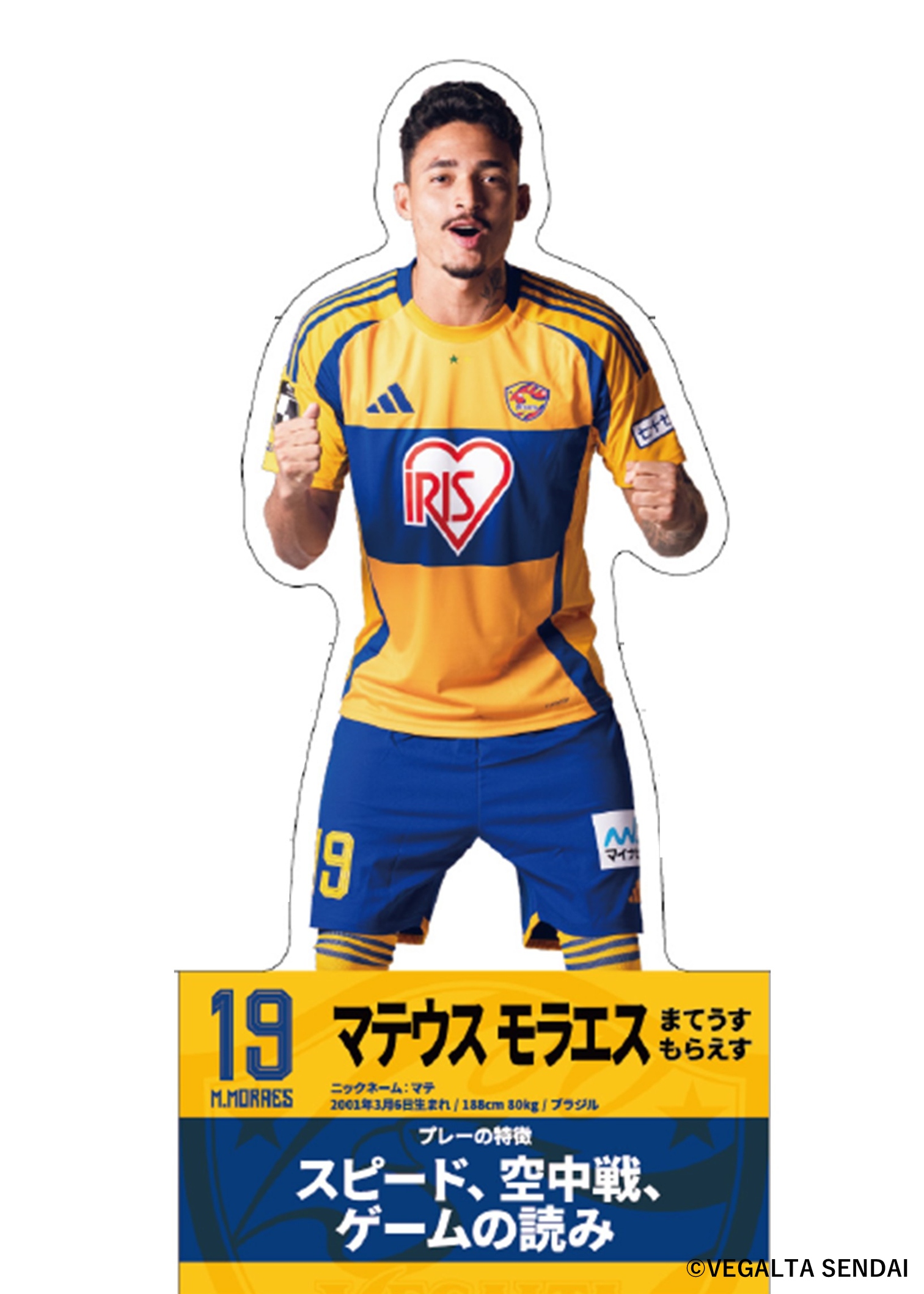 HATTRICK（ハットトリック）-選手の想いをファンへ届ける公式