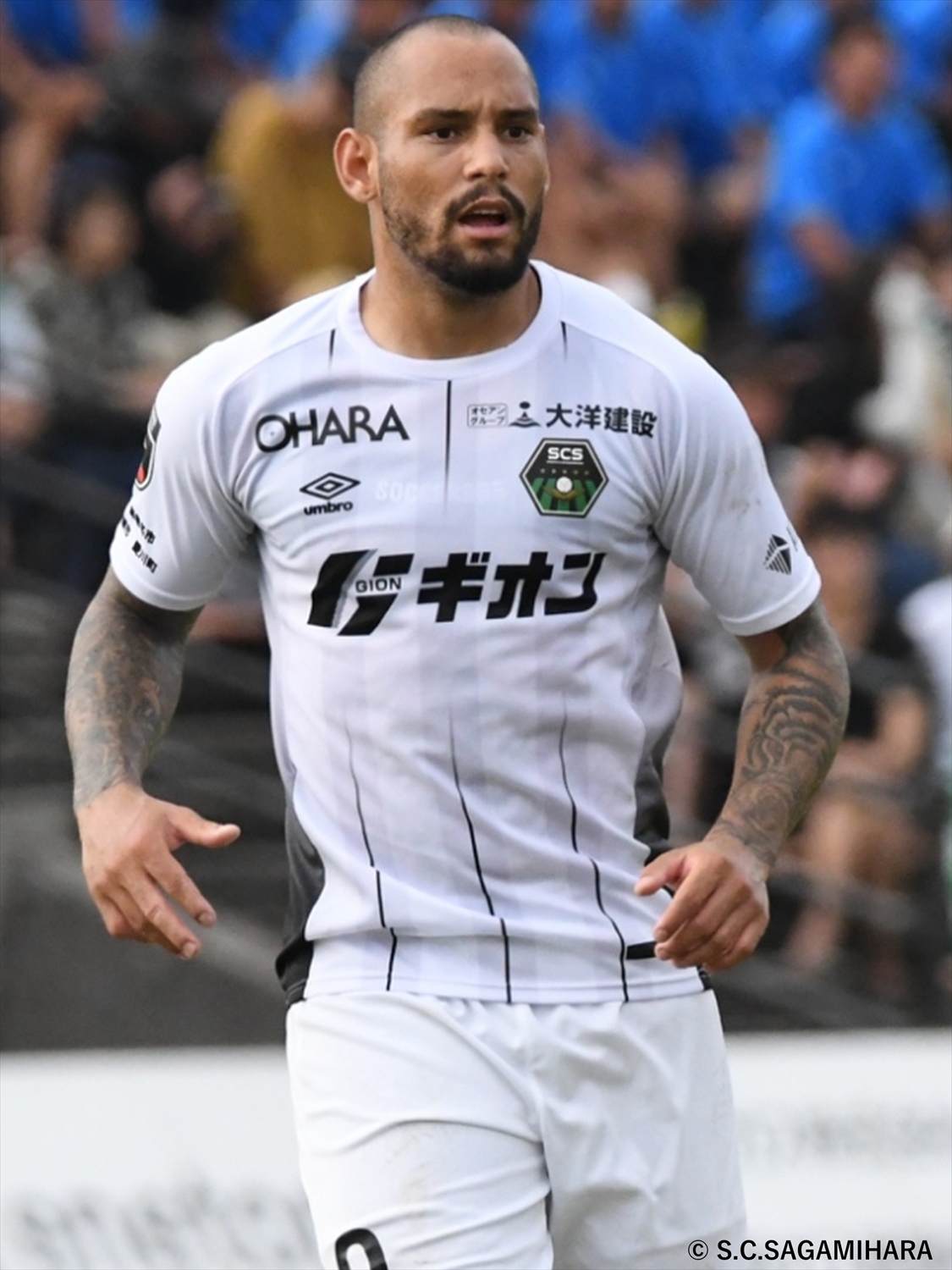 HATTRICK（ハットトリック）-選手の想いをファンへ届ける公式