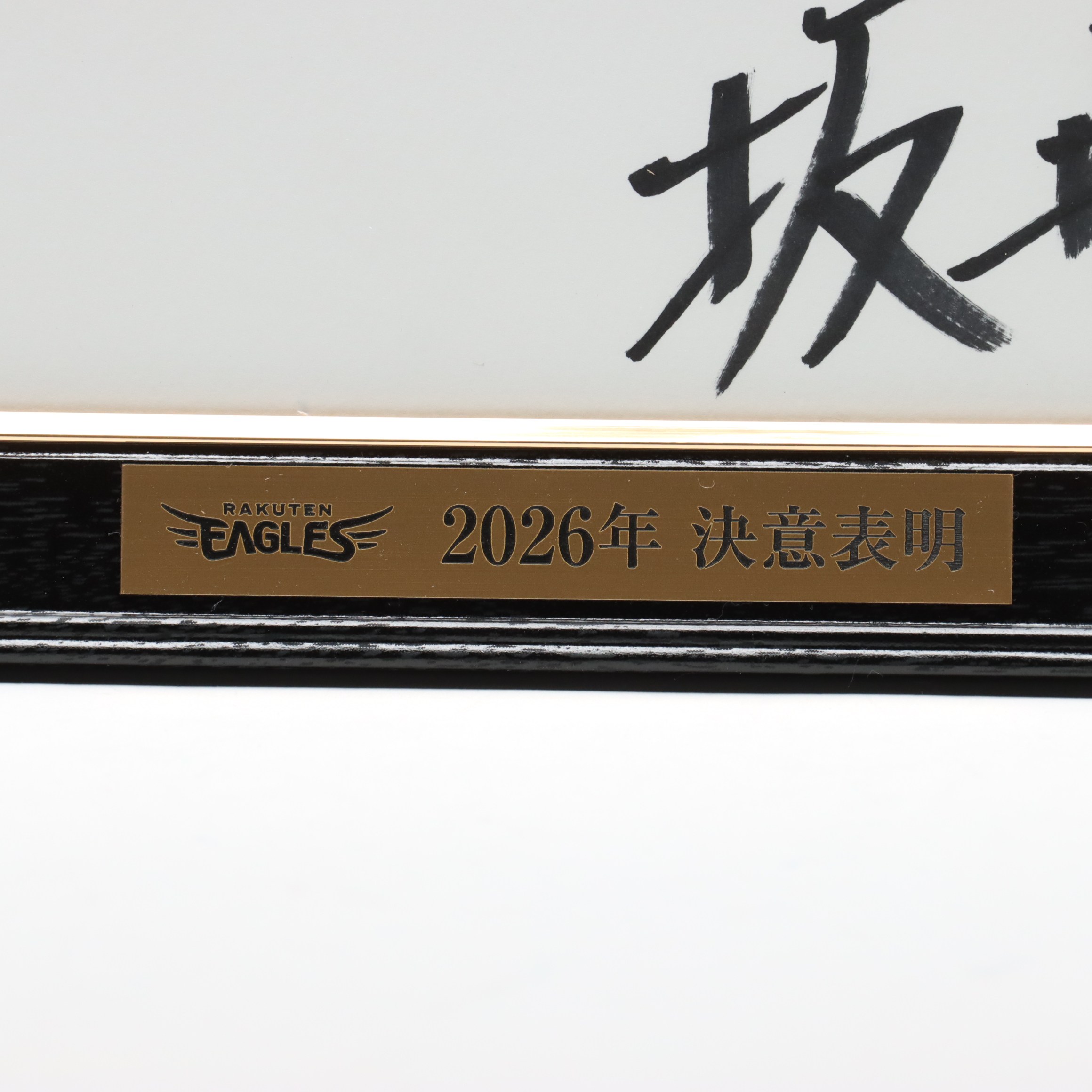 咔*王様 TROPHYCLOTHING トリプルネームサイン入りベスト　新品未使 3x15_Cherry_Name_Tag__11592.