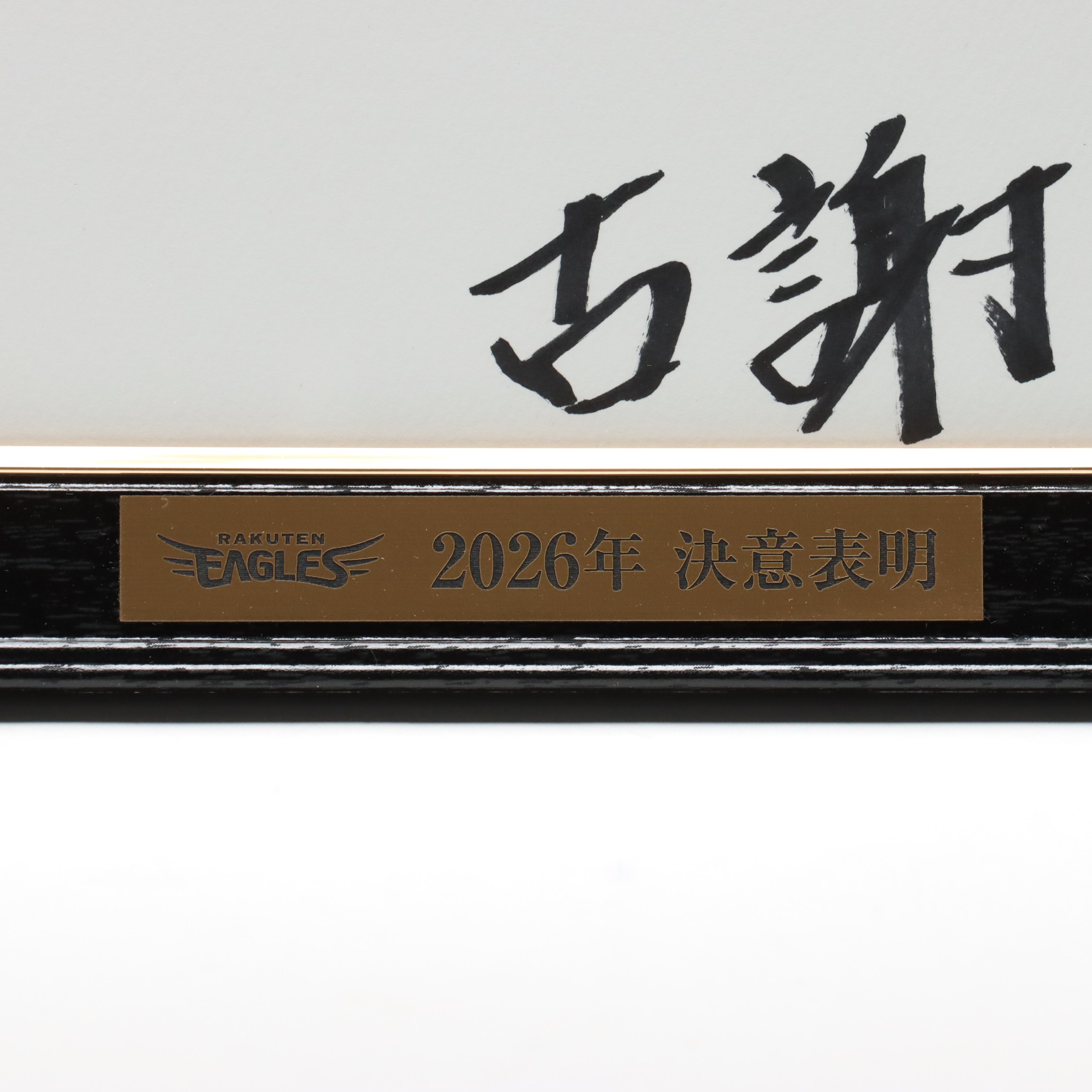 HATTRICK（ハットトリック）-選手の想いをファンへ届ける公式