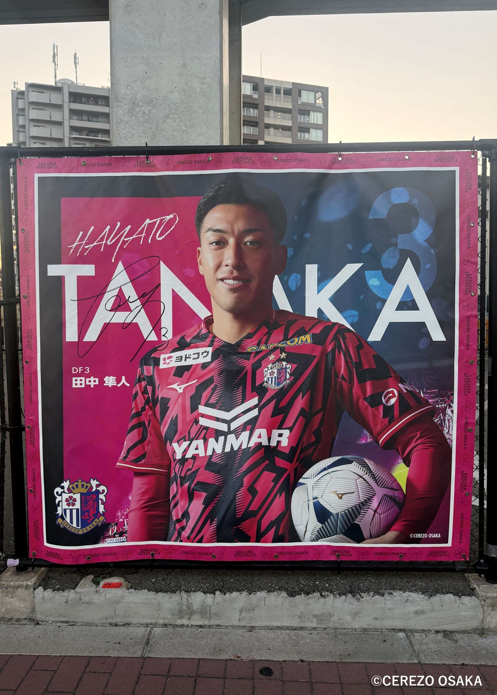 HATTRICK（ハットトリック）-挑戦者の想いをファンへ届ける公式