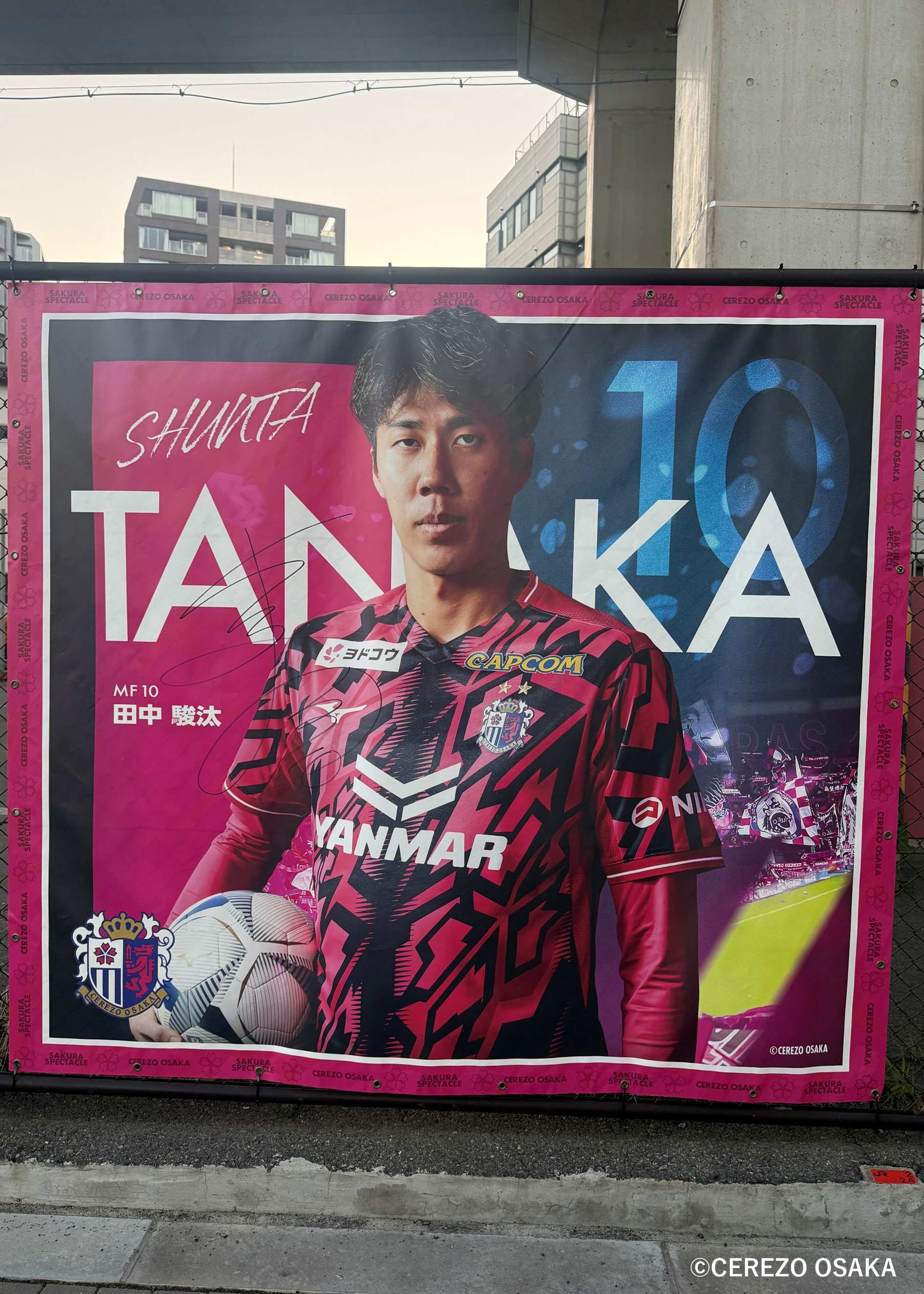 HATTRICK（ハットトリック）-挑戦者の想いをファンへ届ける公式
