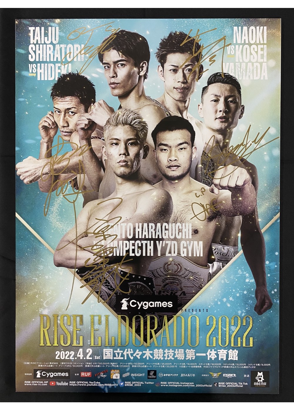 RISE WORLD SERIES 2019 天心応援シート スタンドS 特典付 Cygames presents RISE WORLD SERIES 2019 Final Round ｜大会