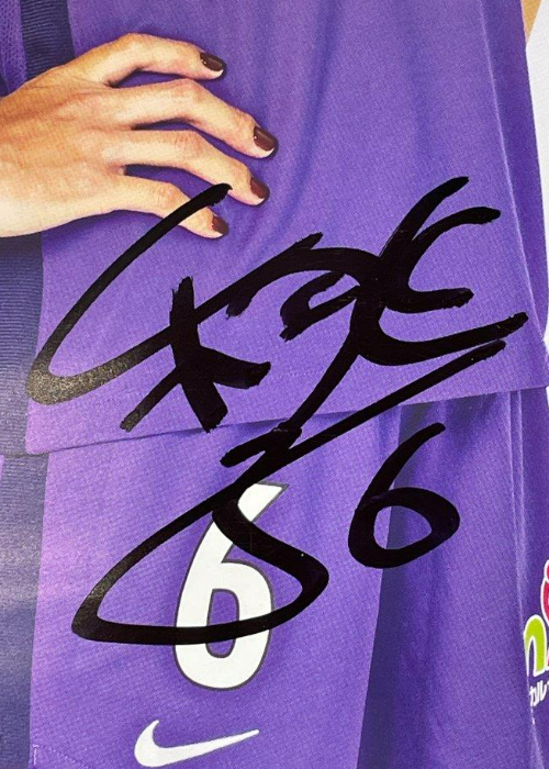 HATTRICK（ハットトリック）-選手の想いをファンへ届ける公式