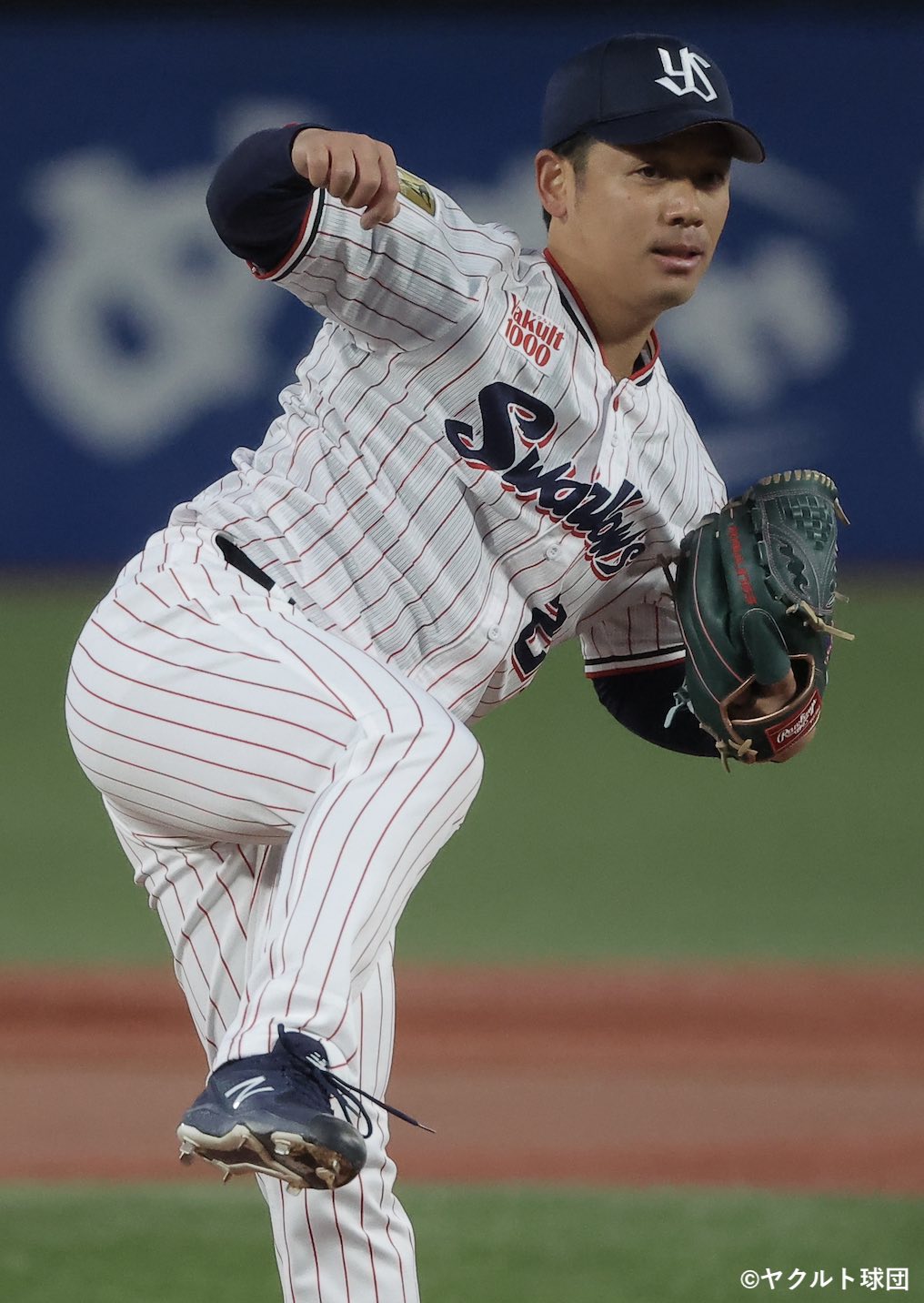 東京ヤクルトスワローズ　トニー・バーネット 直筆サイン入りフォト 最多セーブ記念 限定50セット] 東京ヤクルトスワローズ 山田哲人 通算150本塁打記念