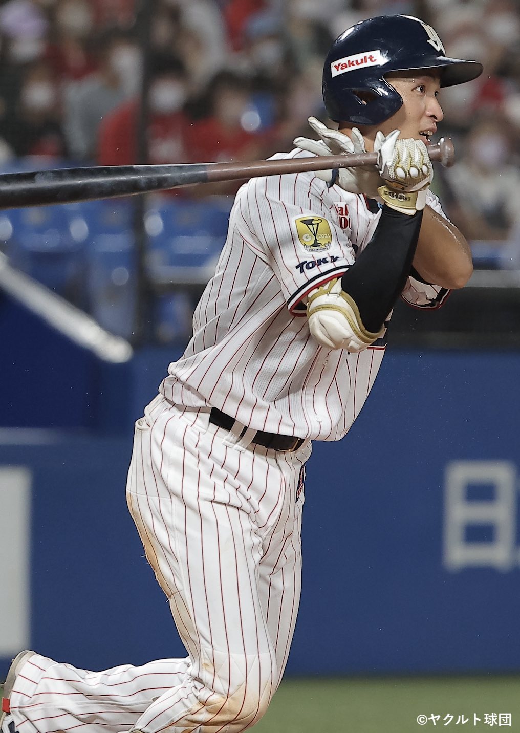 HATTRICK（ハットトリック）-選手の想いをファンへ届ける公式