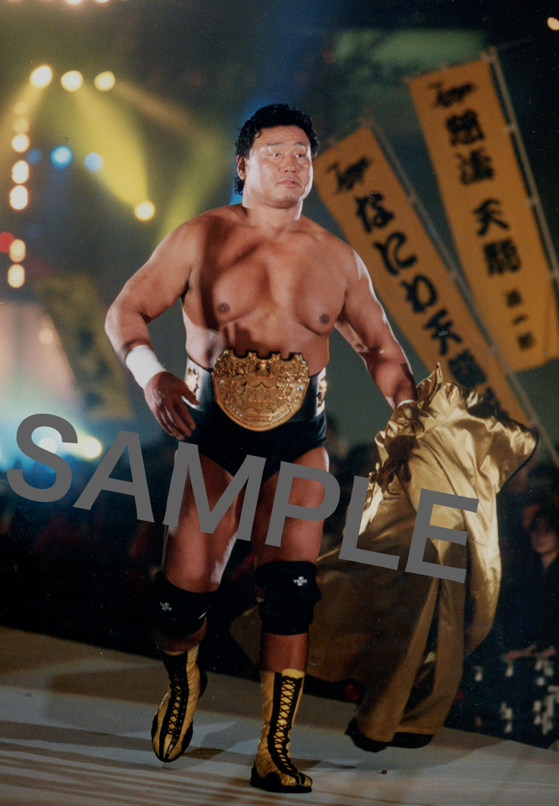 天龍源一郎 引退記念フィギュア グーパンチVer. 完成品フィギュア 天龍源一郎 引退記念フィギュア チョップVer.
